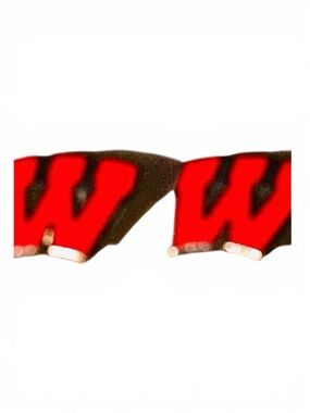 University of Wisconsin - Madison vintage logo post earrings never worn